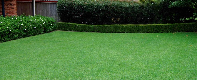 One call can solve all your house problems